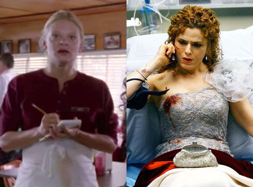 ER, Greys Anatomy, Guest Stars, Martha Plimpton, Bernadette Peters